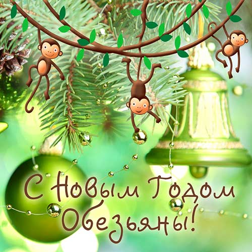 с Новым годом
