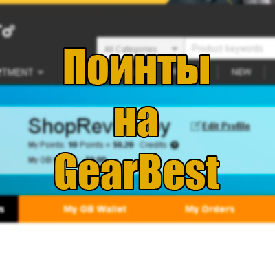 gearbest point