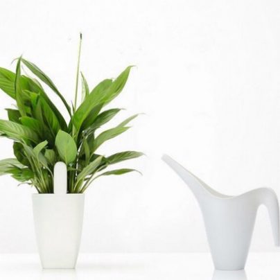 Обзор тестера почвы для цветов Xiaomi Flower Monitor с АлиЭкспресс